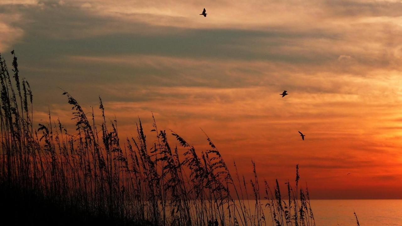 Pelican Pointe 2A Clearwater Beach Esterno foto