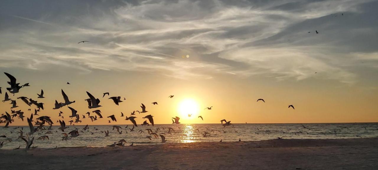Pelican Pointe 2A Clearwater Beach Esterno foto